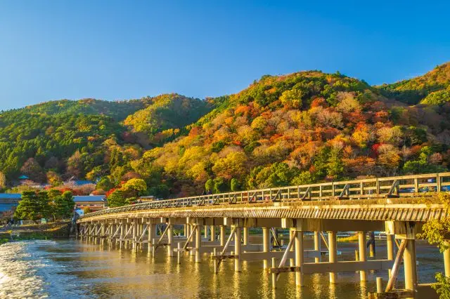 周囲の山々が色彩豊かな紅葉で染まる秋の渡月橋
