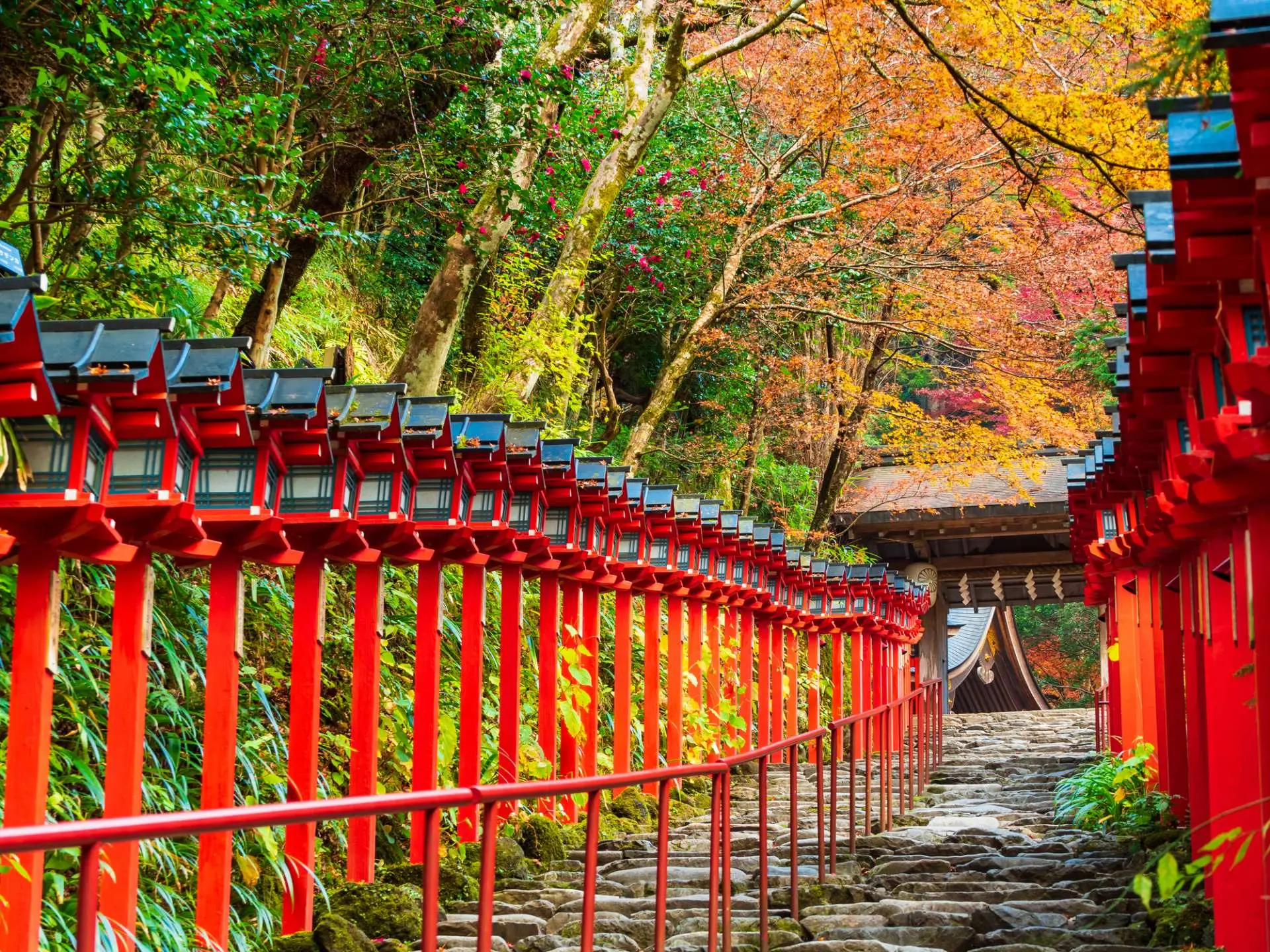 【貴船神社の観光ガイド】風光明媚な場所で縁結びを願う | GOOD LUC…
