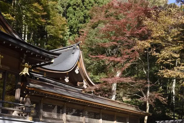 境內有許多風光明媚的拍照景點，也是貴船神社備受歡迎的理由之一