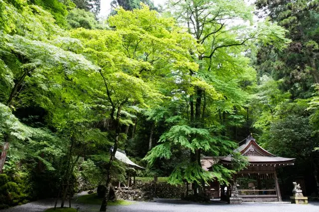 僅僅只是漫步於新綠萌芽的境內也能感受舒爽