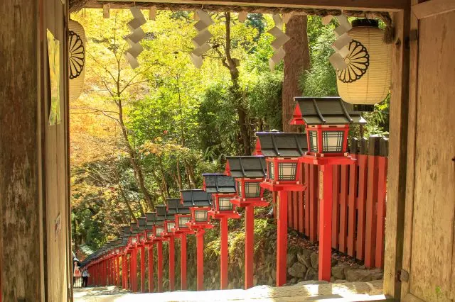 可以欣賞到燈籠與紅葉的美麗共演