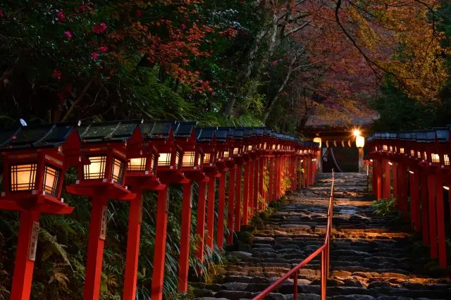 貴船神社開放夜間參拜，被燈籠映照下的神社充滿神祕的意趣