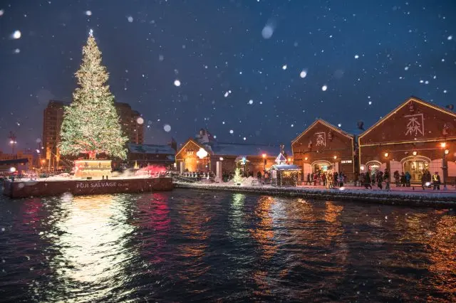 「はこだてクリスマスファンタジー」の巨大クリスマスツリーは必見