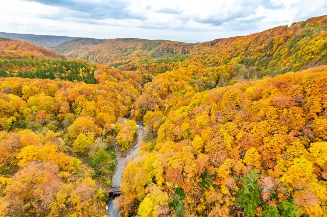 圧倒されるほど豊かな自然景観を満喫しよう