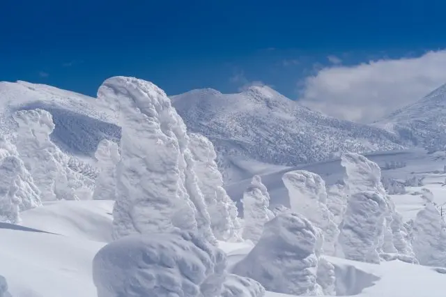 特定の場所と条件下でのみ見られる樹氷