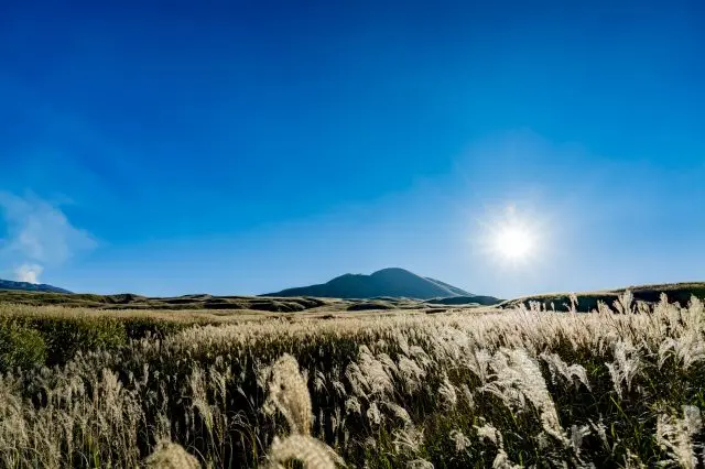 秋に観光するならススキが広がる野原は必見だ
