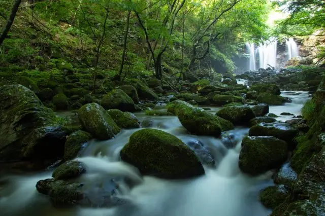 即使在日本炎热的夏季，也能在凉爽舒适的大自然中尽享观光乐趣