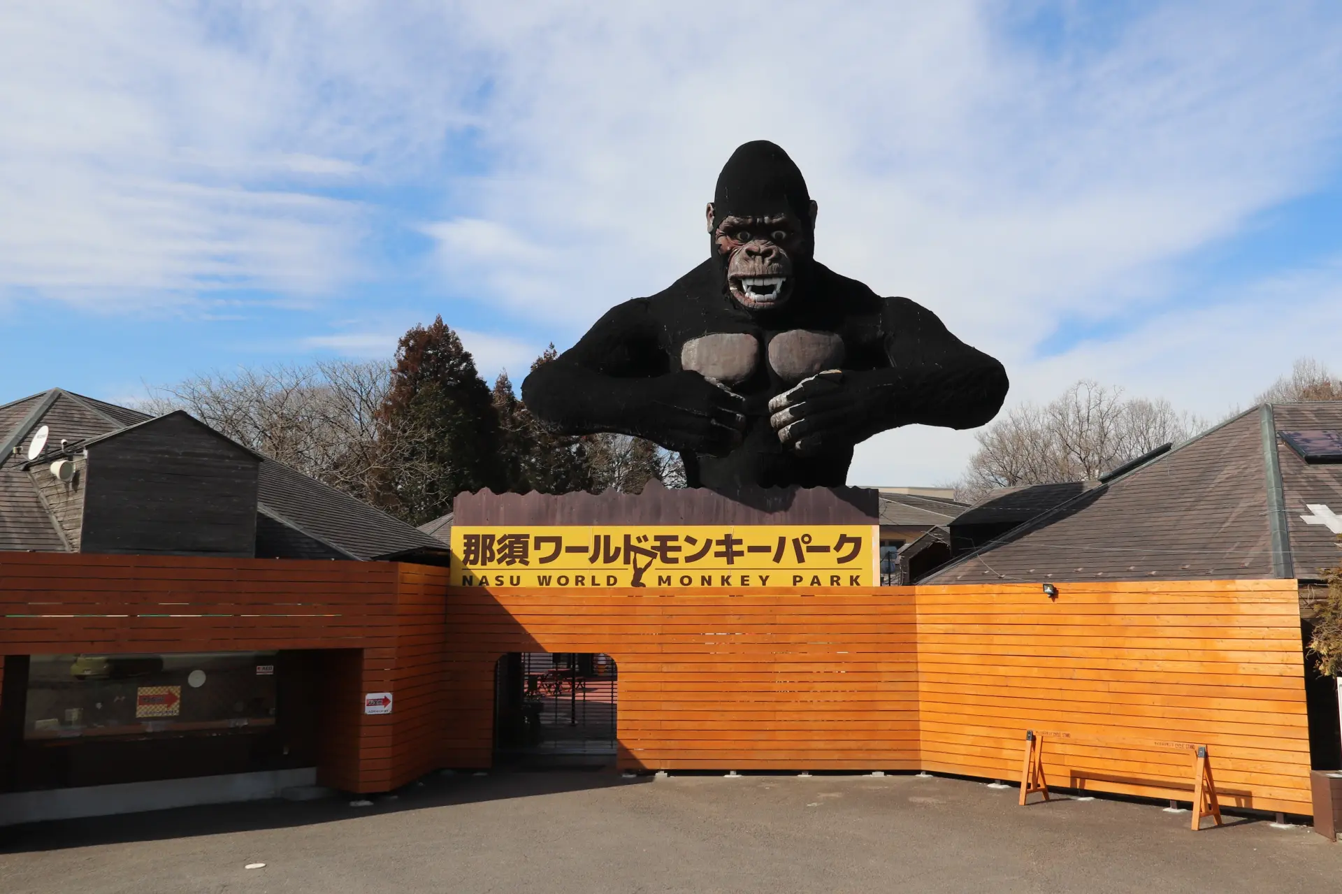 珍しいサルやゾウに触れて楽しむ、癒しタイムが過ごせる