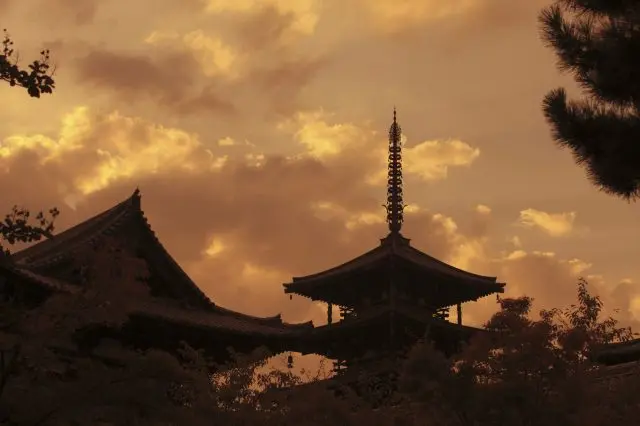 【法隆寺完整指南】必看重點&周邊景點一篇掌握！