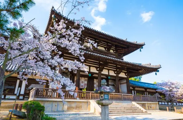 在充滿雅趣的空間漫步遊覽