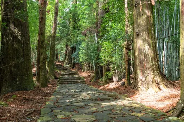 Explore spiritual power spots as you walk along the mystical path.