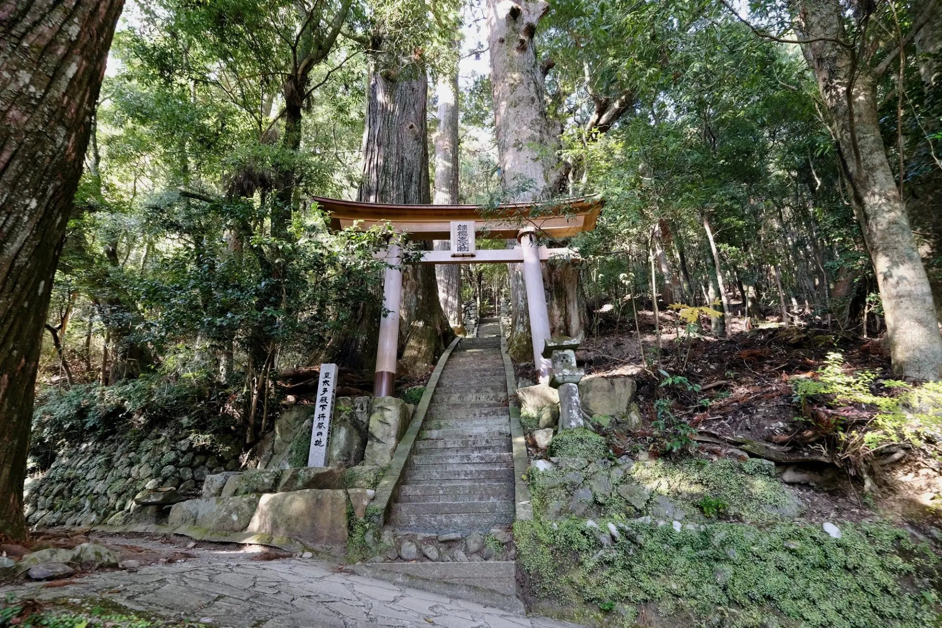 中邊路沿途風景