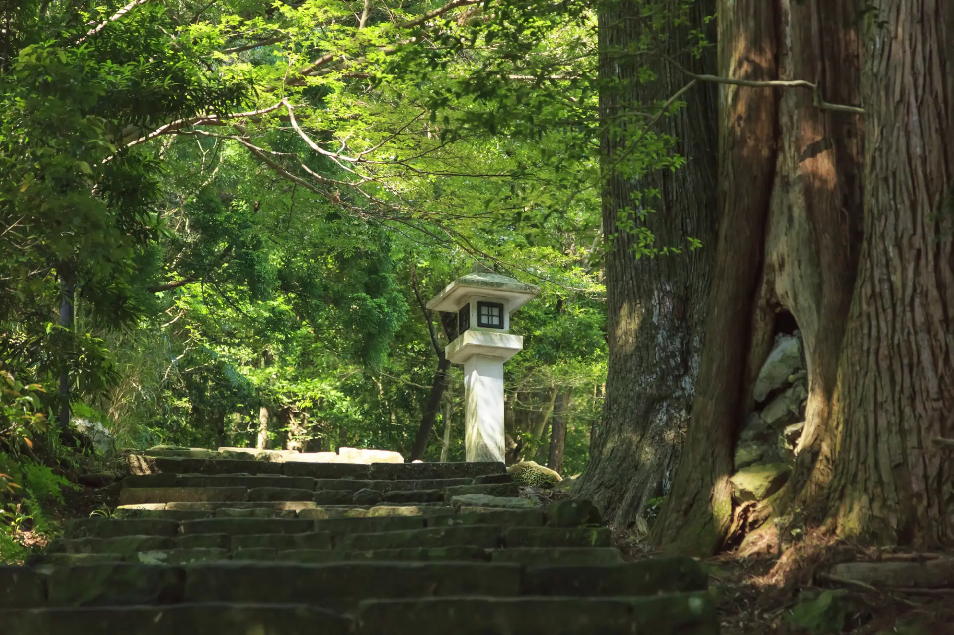 Nakahechi: A pilgrimage trail through the mountains to the Kumano Sanzan