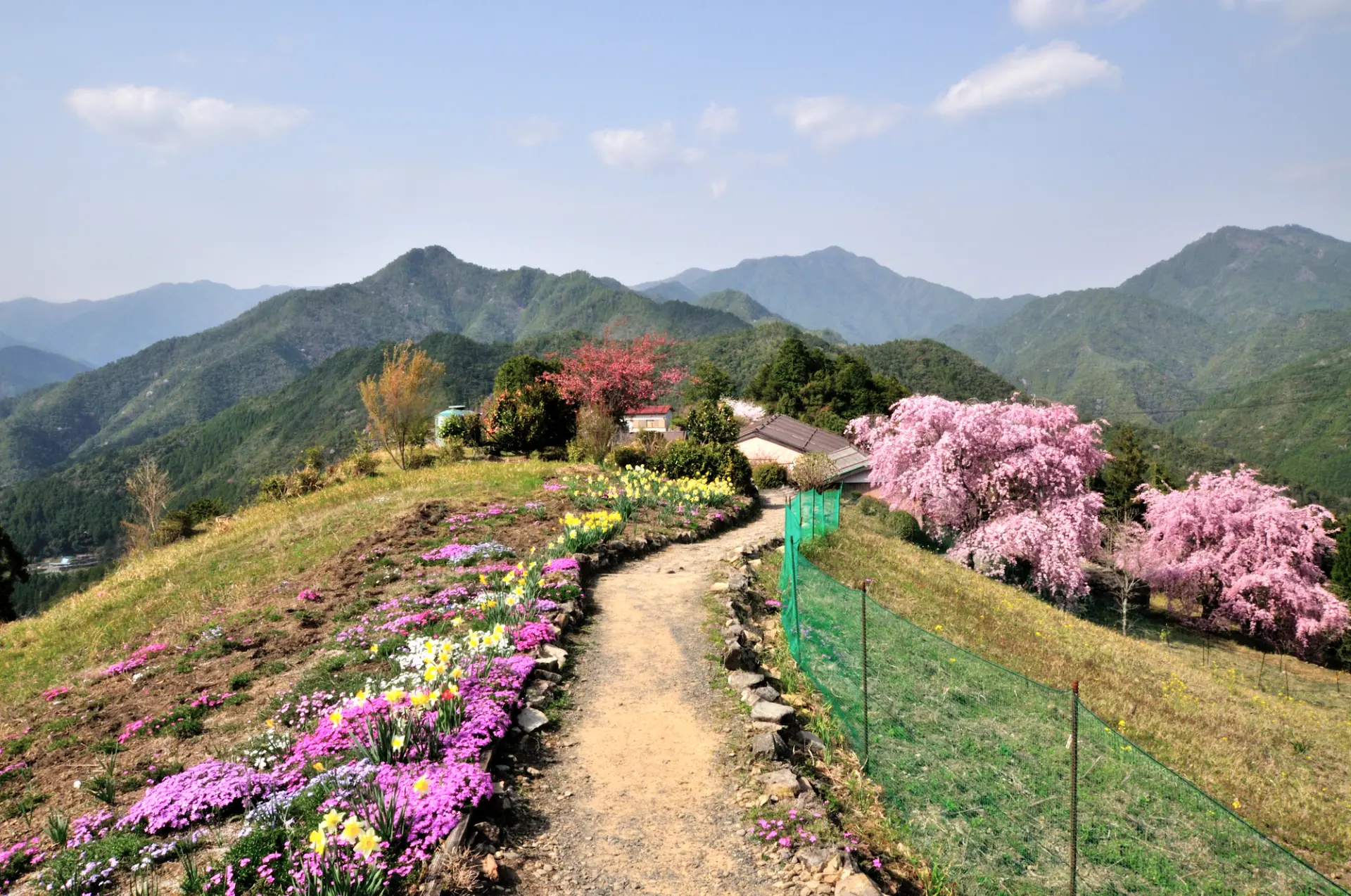 Kohechi: Passing through villages offers a glimpse of traditional rural Japan