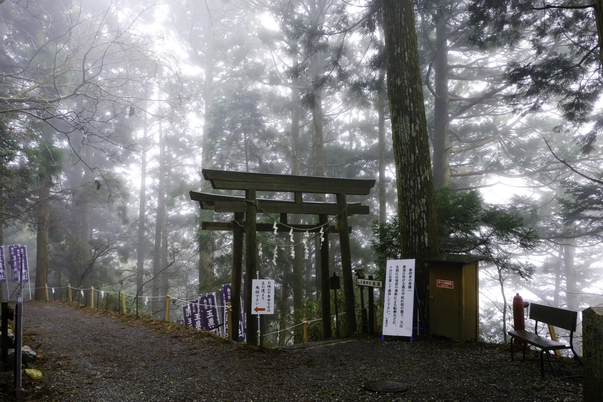 Omine Okugakemichi: The mist-covered approach to Tamaki Shrine