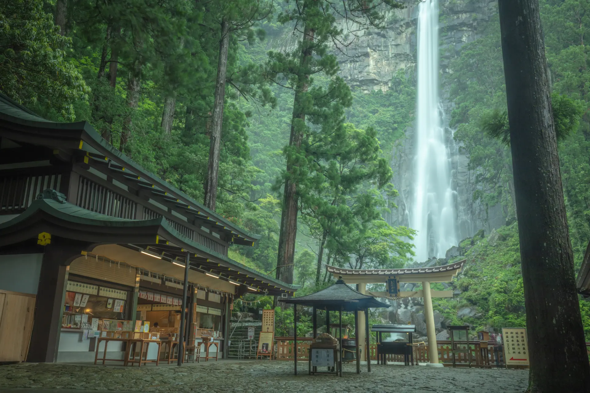 Summer: Fresh greenery surrounds Nachi Falls, creating a beautiful contrast with the white cascade