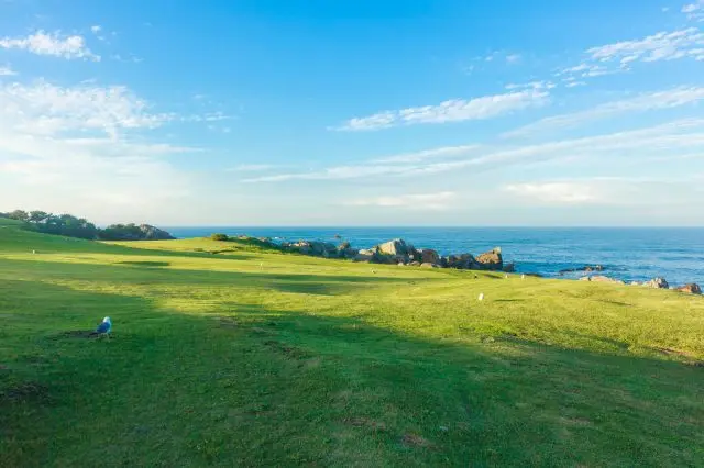 芝生が広がる光景を堪能しよう