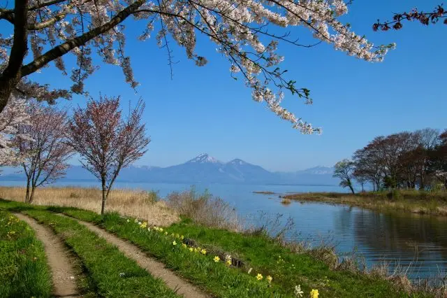 充滿日本風情的豬苗代湖春季景觀