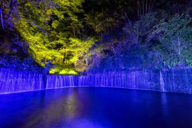 夏季に開催されるライトアップで「涼」と「美」を感じよう