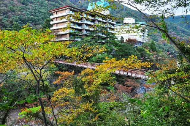 鬼怒川溫泉的代表性打卡拍照景點「瀧見橋」