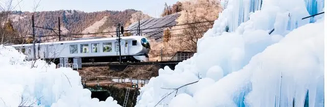 [1-Day Model Course Near Tokyo] Explore with the SEIBU 1Day Pass!
Scenic views, Food, Shopping, Hot springs... Satisfy all your senses with a winter journey along the Seibu Line.

