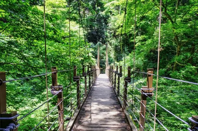 Many tourists visit Mount Takao daily to enjoy casual mountain climbing and the abundant nature.