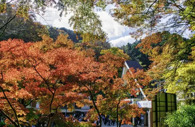 Let’s hike while enjoying the autumn foliage!