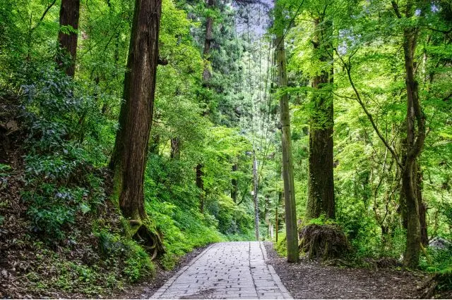The trail is well paved, so anyone can hike it without difficulty.