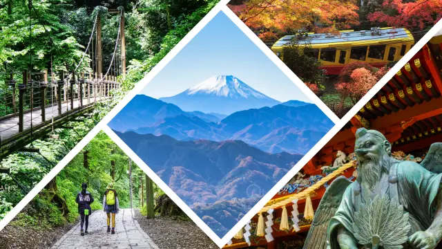 Complete guide to sightseeing at Mount Takao: This guide will cover both the charm and the highlights!