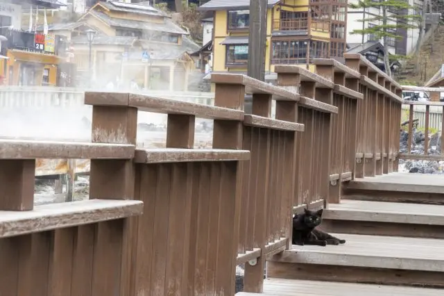 在草津的街道上邊走邊吃，體驗日本人必做的溫泉街體驗吧～