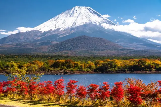 賞楓季節同樣是造訪精進湖的大好時節