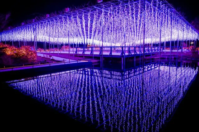 日本らしい風情も感じられるイルミネーションイベント