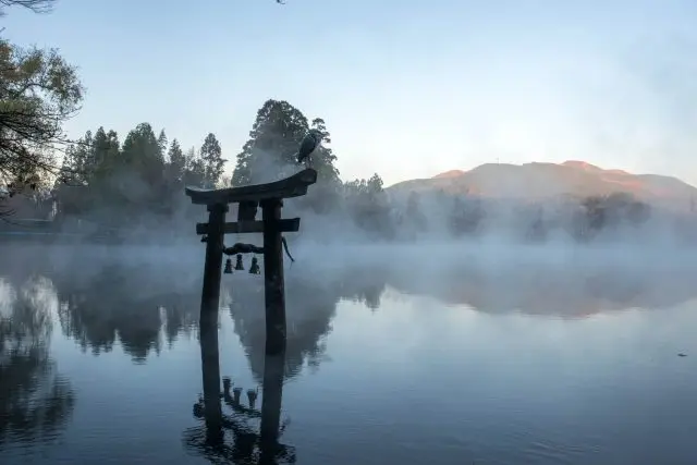 【金鳞湖完整指南】必看重点&周边景点一篇掌握！