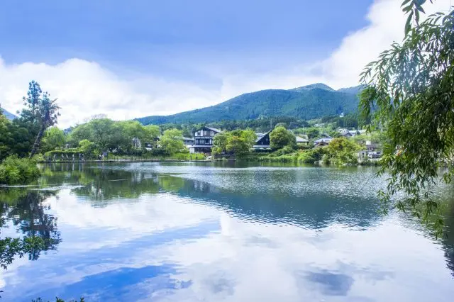 四周围绕着树林，风景秀丽的金鳞湖