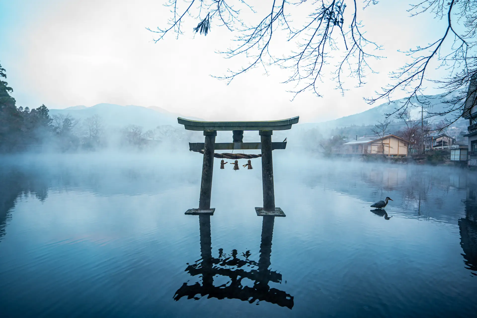 金鱗湖最佳取景①：從湖畔鳥居望向湖面
