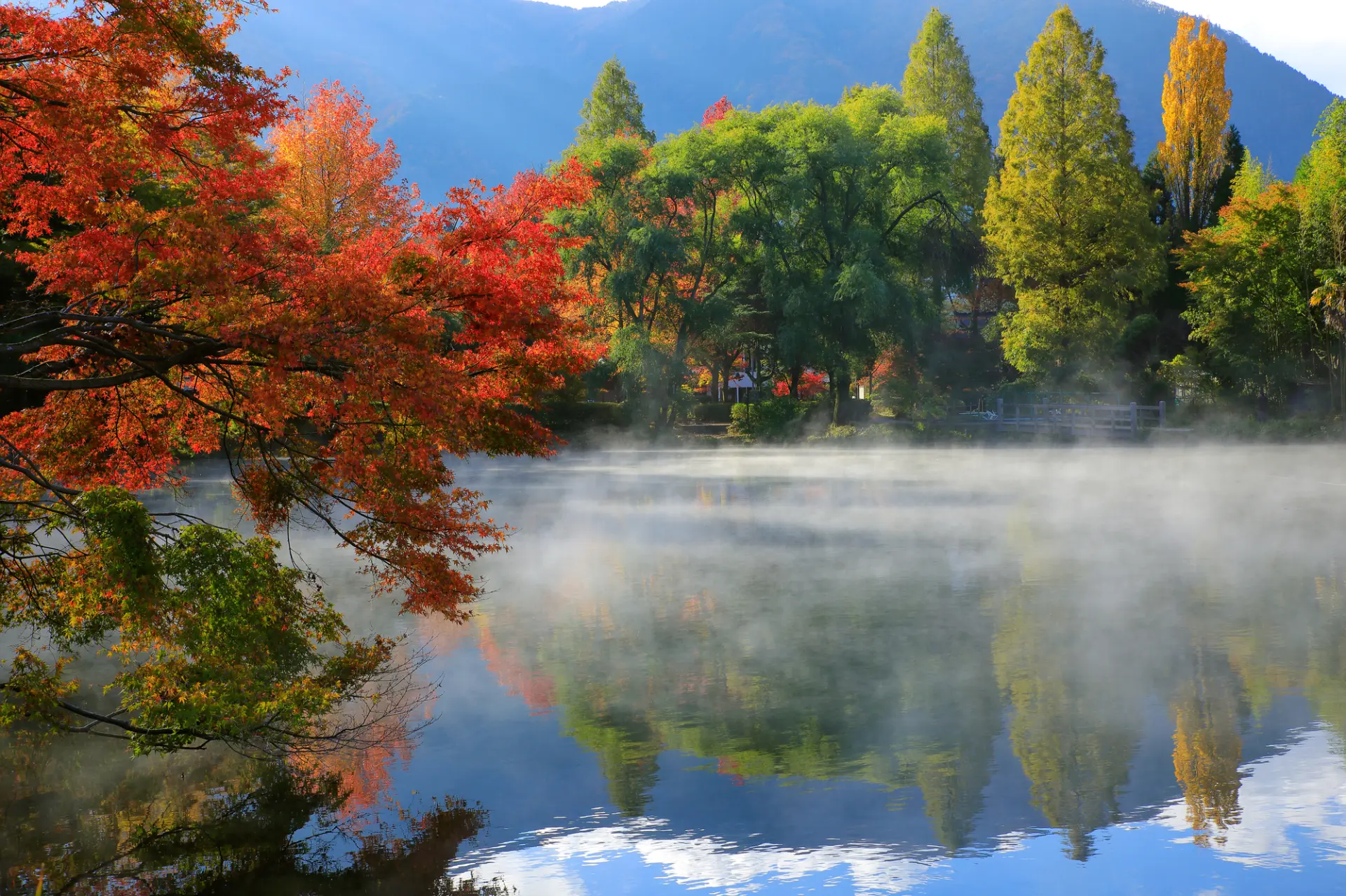 	金鱗湖最佳取景③：朝霧時分紅葉倒映湖面的拍攝位置