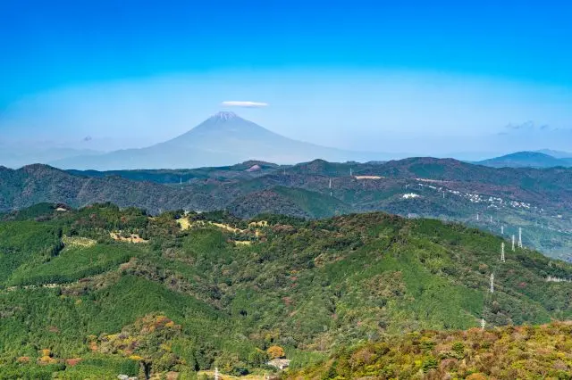 在伊豆高原豐富的大自然中悠閒玩樂，讓身心都獲得療癒吧！