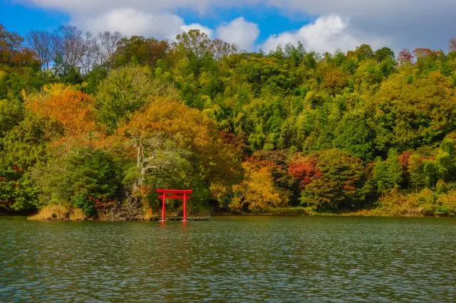 被繽紛秋葉裝點的伊豆高原湖泊