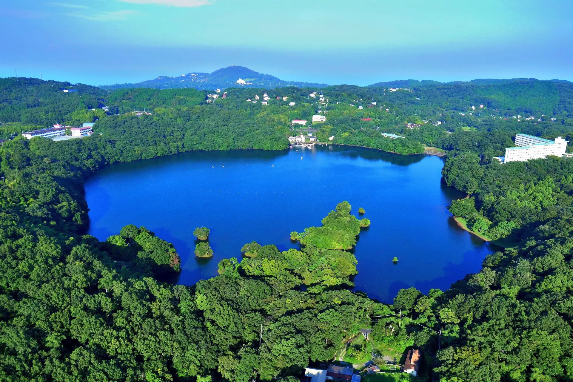 「伊豆の瞳」と称される火口湖で、四季折々の絶景を楽しめる
