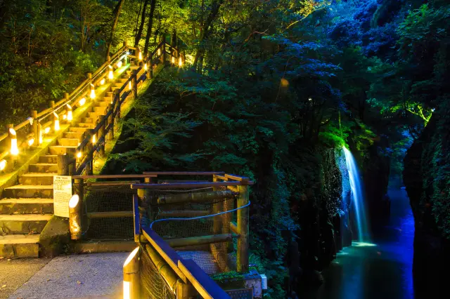 享受充满夏季特色的新绿与清凉吧～