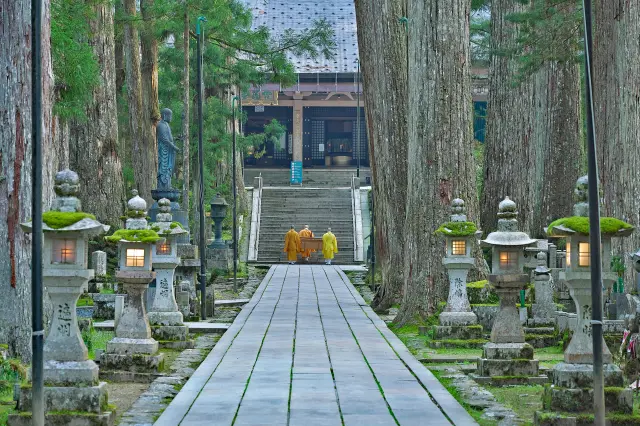 樹齡800年的杉木林中的參道——高野山奧之院