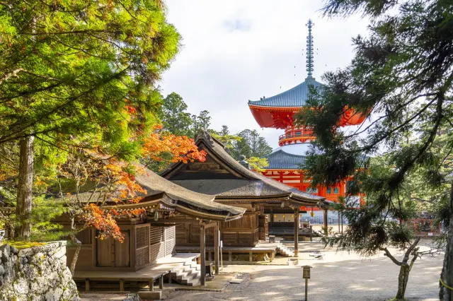 【高野山完整指南】必看重點&推薦宿坊一篇掌握