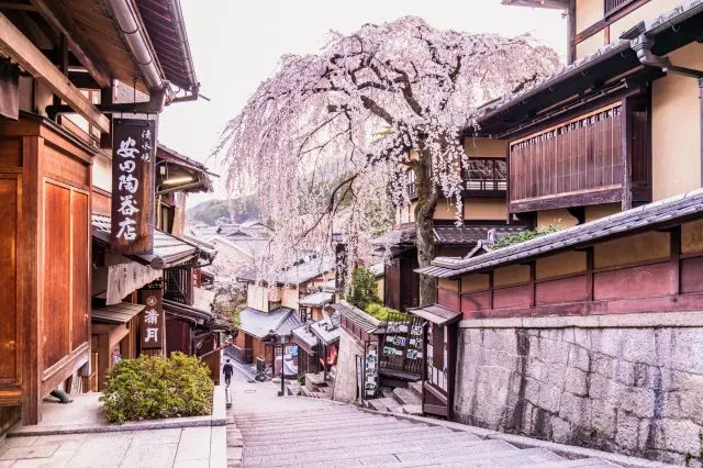 桜咲く古都で風情と情緒を堪能！京都の人気お花見スポット15選