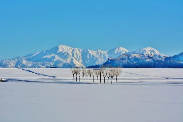Beautiful blankets of snow are in some but not every region, so plan your trip accordingly.
