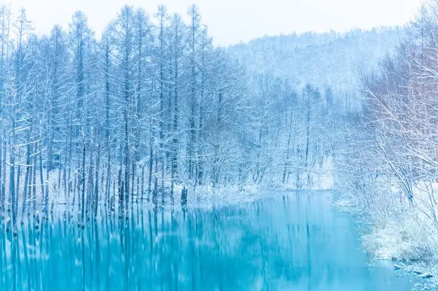 Blue pond covered with snow.