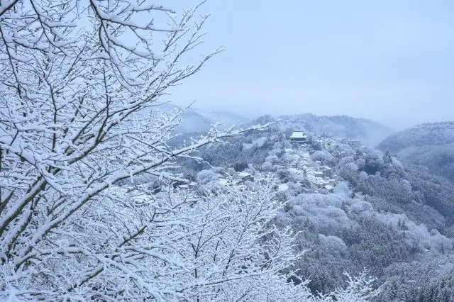 不只是樱花与枫红，冬天的吉野山还有绝美雪景可看～