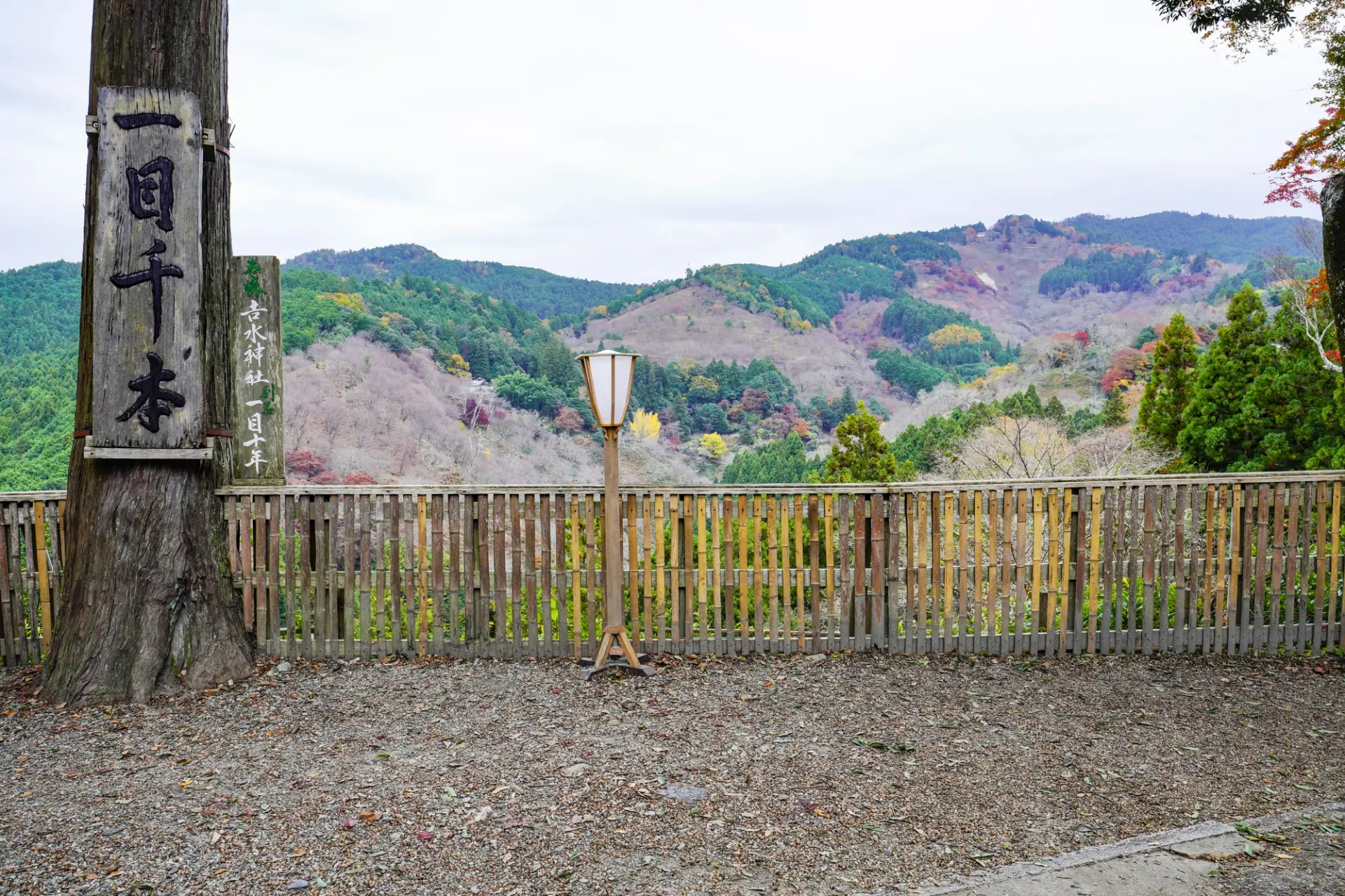 Hitome Senbon, also known as the place where Toyotomi Hideyoshi held a cherry blossom banquet with this site as his headquarters