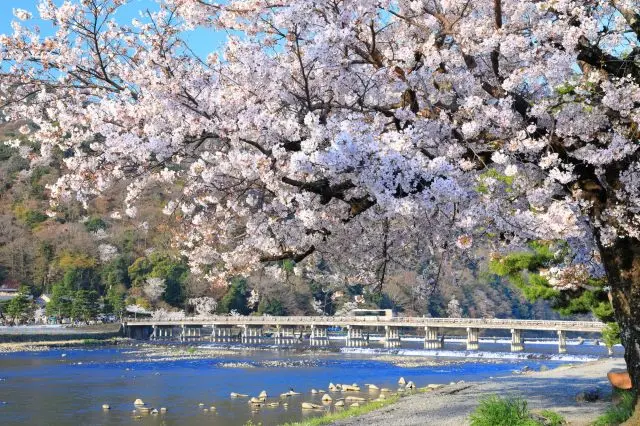 享受美丽的风景和日本文化