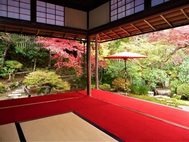 与天皇渊源深厚的古老寺庙，位于小仓山山麓，曾出现在和歌诗集《百人一首》中