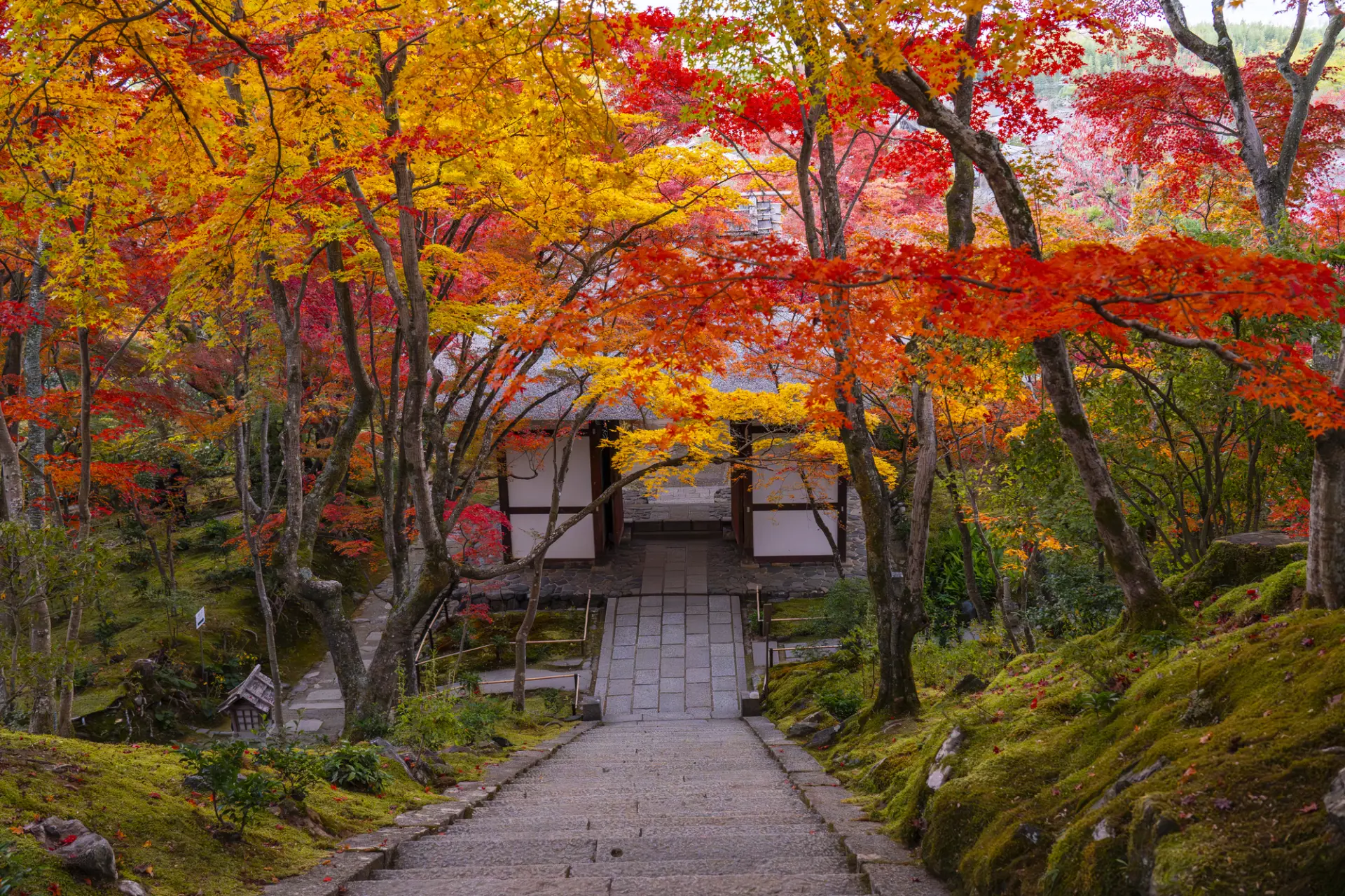 紅葉の名所としても知られる常寂光寺